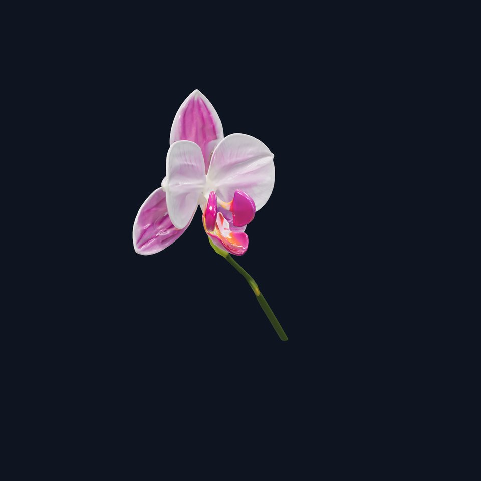 Orchid Flower D Model Pack