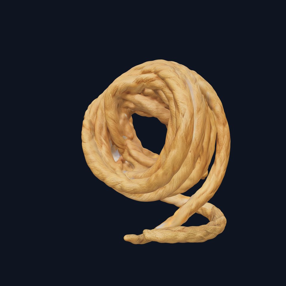 Realistic Rope Model Pack for D Rendering and Game Design