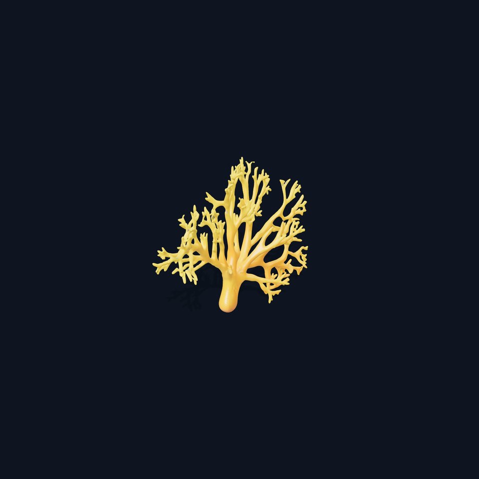 Yellow Coral Model Pack for Realistic Rendering and Simulation
