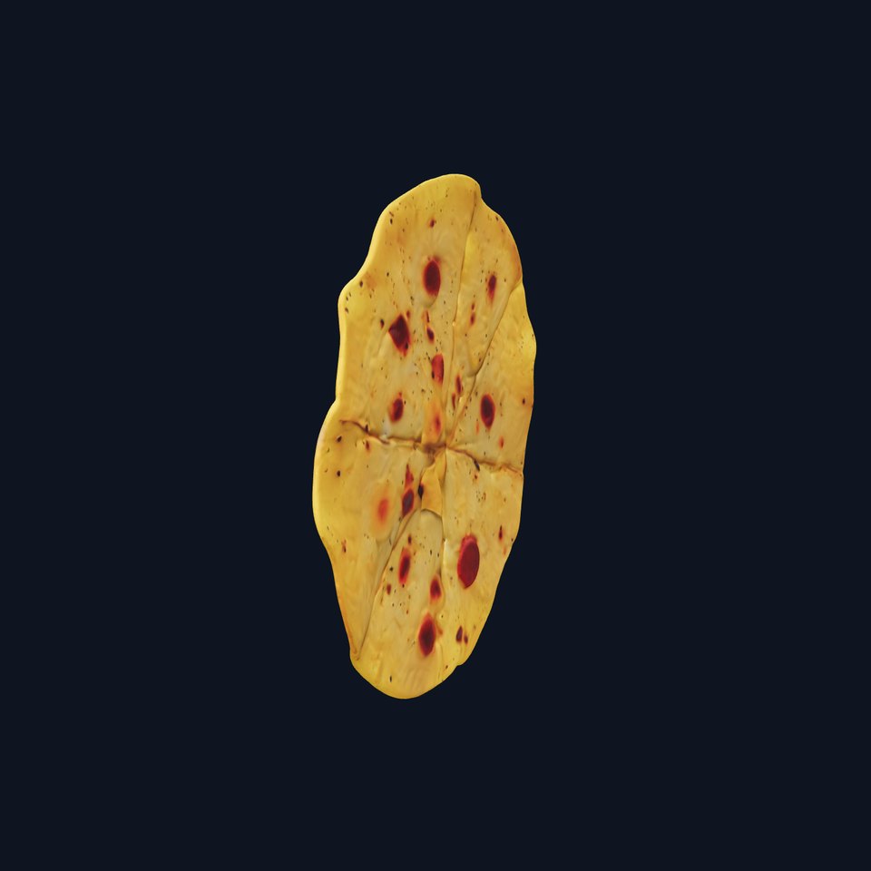 Detailed Flatbread Model Pack for D Applications