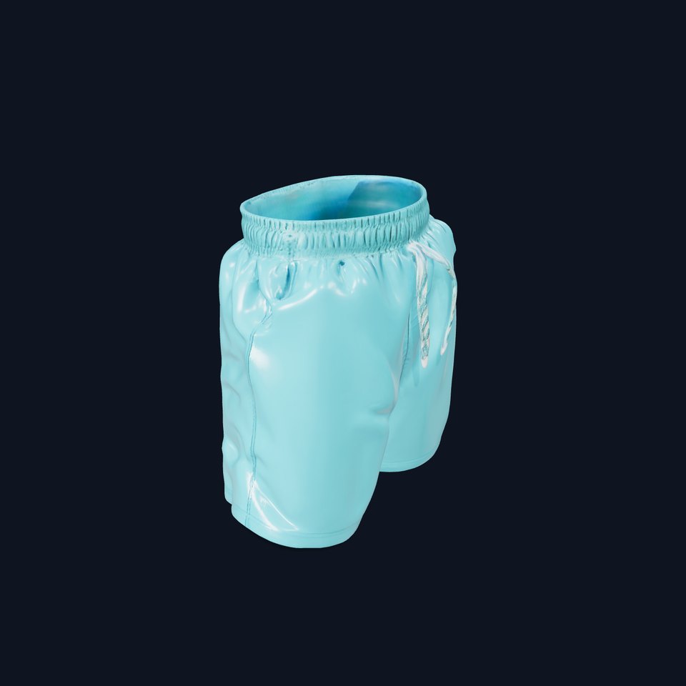 Casual Swim Shorts D Model Pack