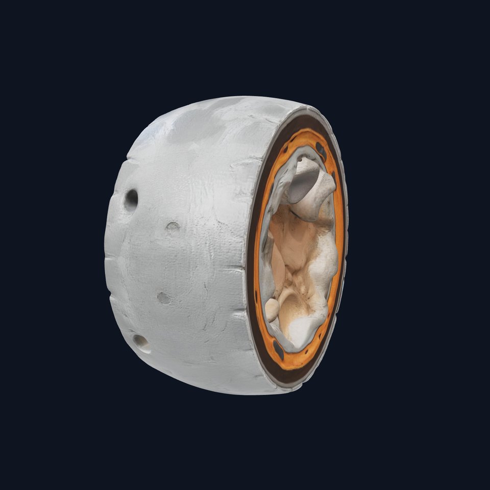 Metal Sphere CrossSection Model Pack with Detailed Interior