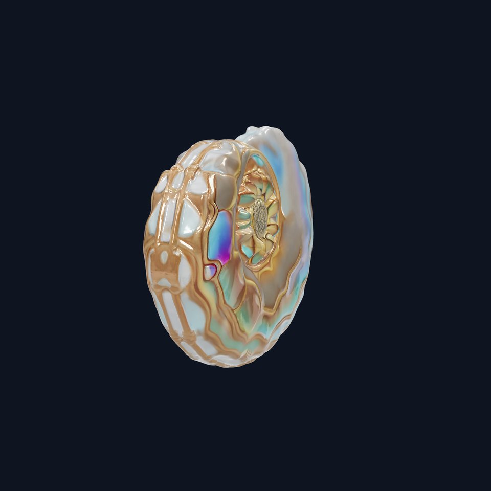 Iridescent Spiral Shell Model Pack