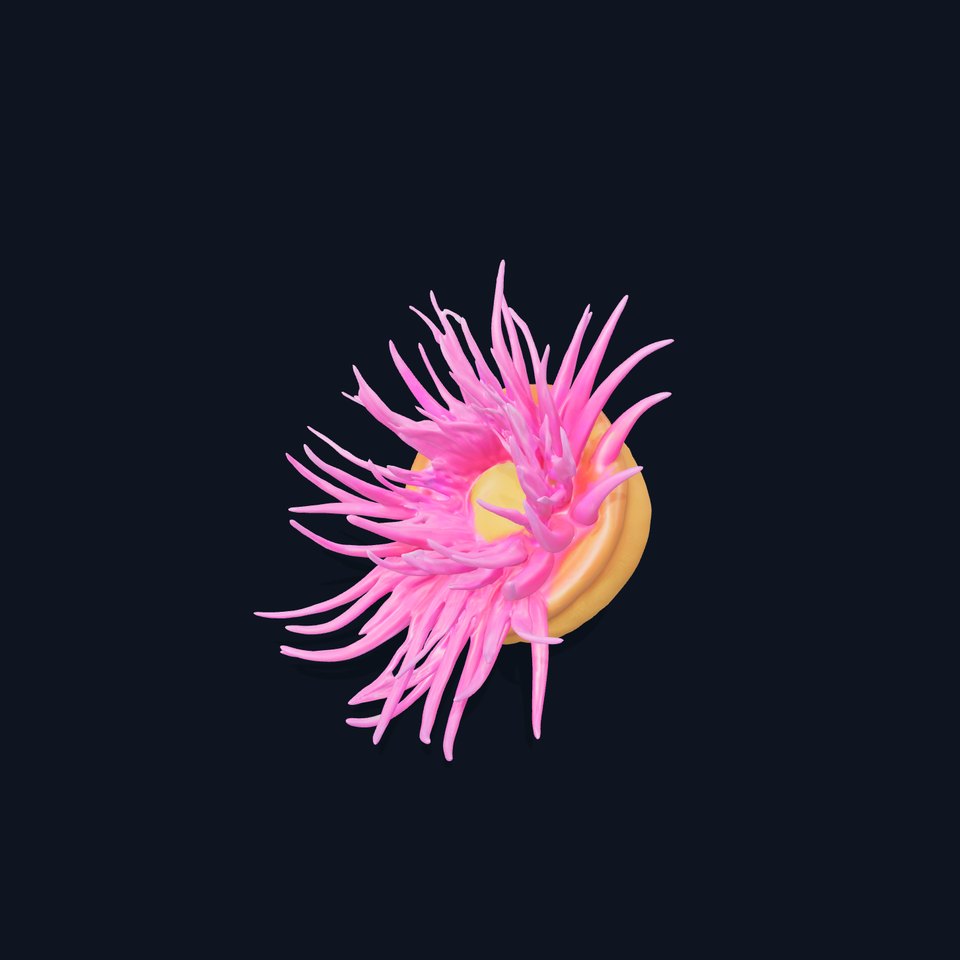 Sea Anemone Vibrant Tentacles Model Pack viewer poster
