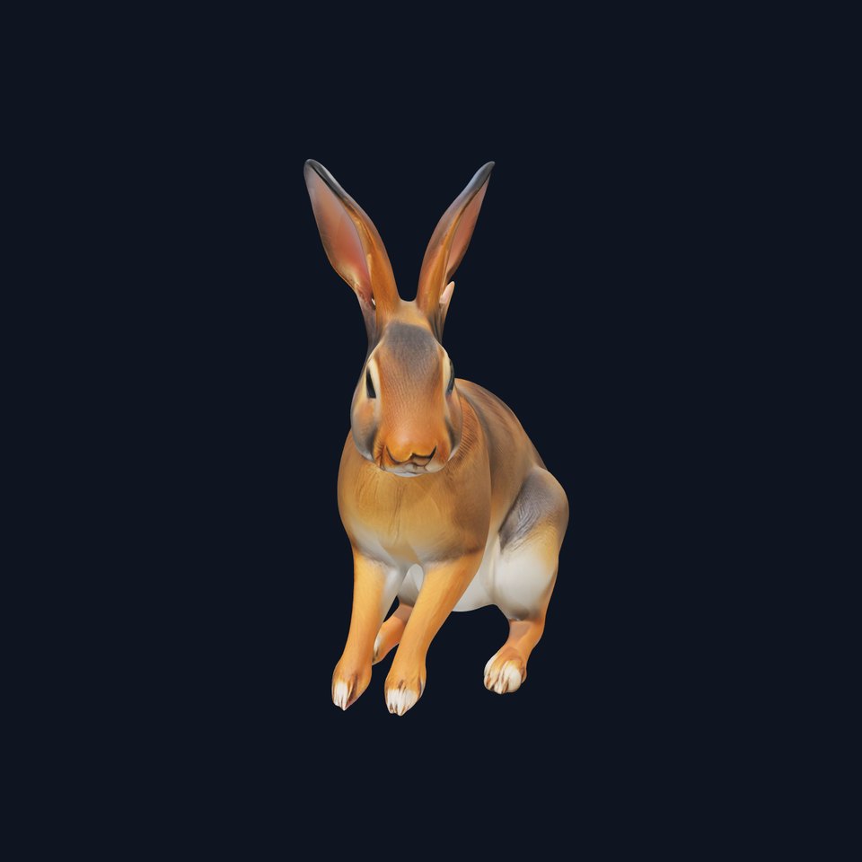 Realistic Rabbit D Model Pack