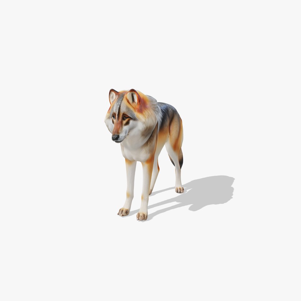Realistic Wolf Model Pack for Animation and Games