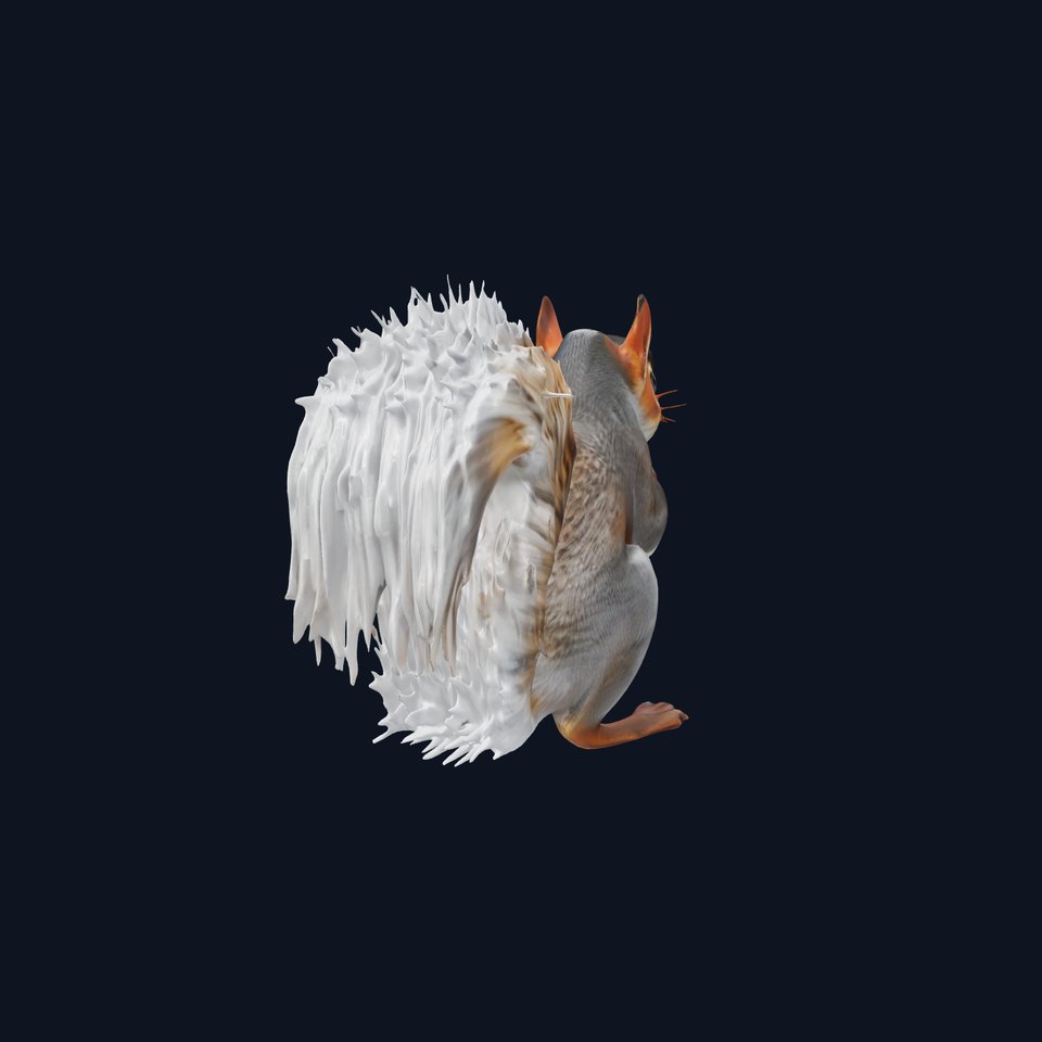 Squirrel Model Pack  Detailed D Animal Model Collection