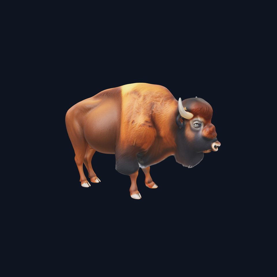 Bison D Model Pack  Detailed Animal Render