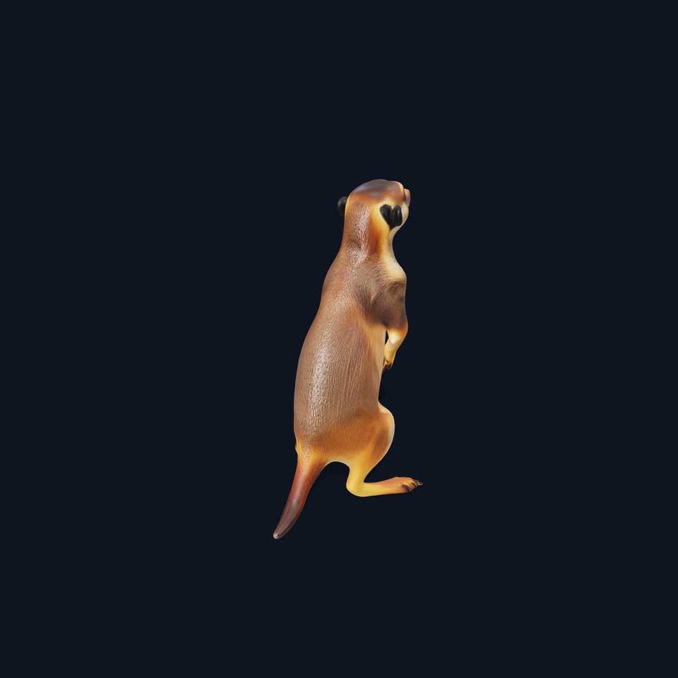 Meerkat Model Pack for CG Rendering and Animation viewer poster