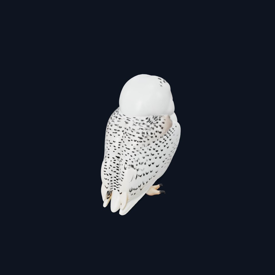 Snowy Owl D Model Pack