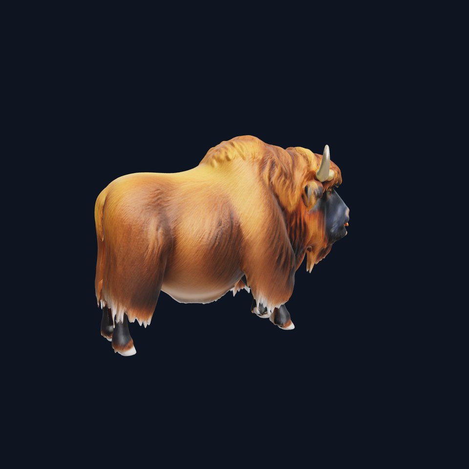 Yak Animal Model Pack with Detailed Fur