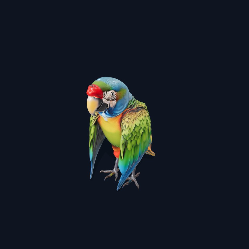 Colorful Macaw Parrot D Model Pack viewer poster