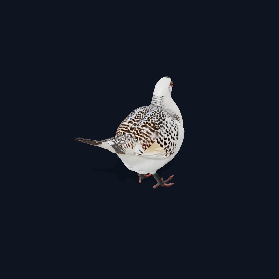 Elegant Pheasant D Model Pack for Interactive and Rendering Uses