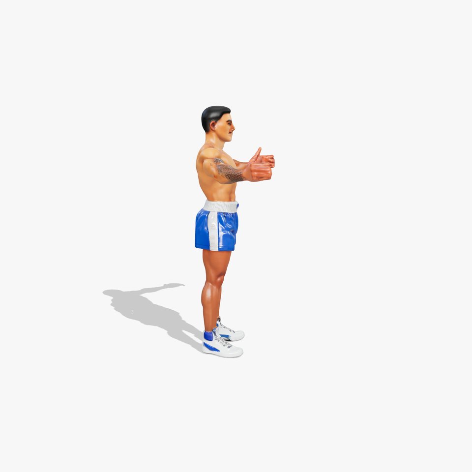 Boxer D Character Model Rigged and Animated