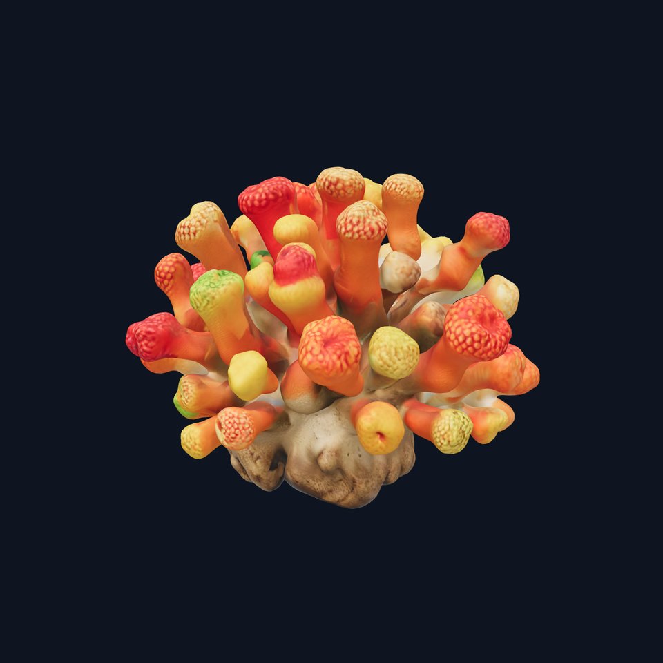 Vibrant Coral Reef Model Pack