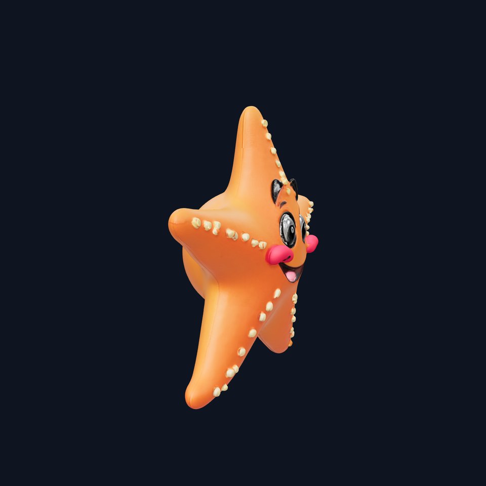 Cartoon Starfish Character Model Pack