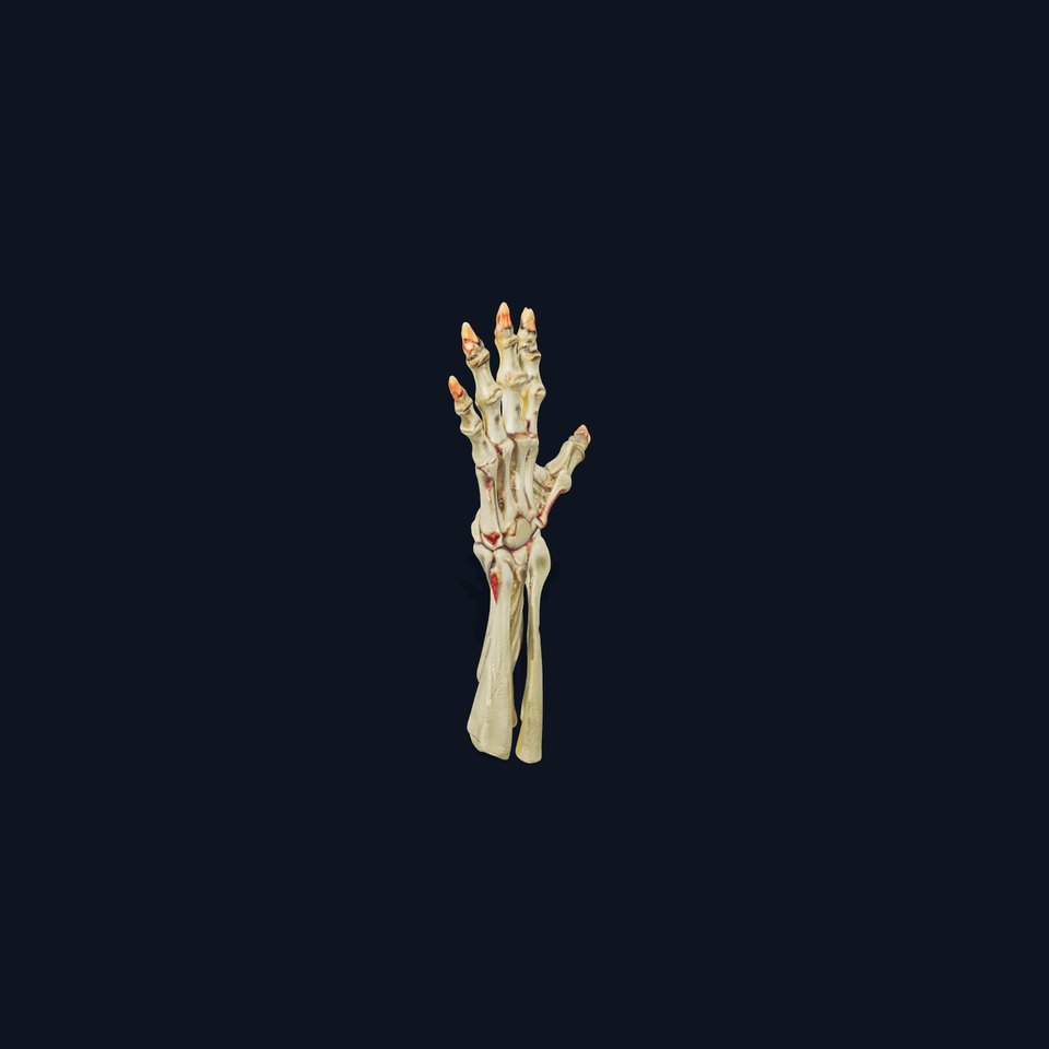 Skeletal Hand Model Pack for Fantasy and Horror Themes