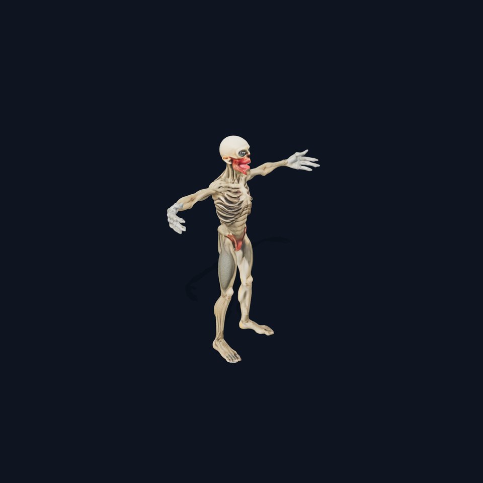 Skeleton Model Pack with Detailed Anatomy Features viewer poster