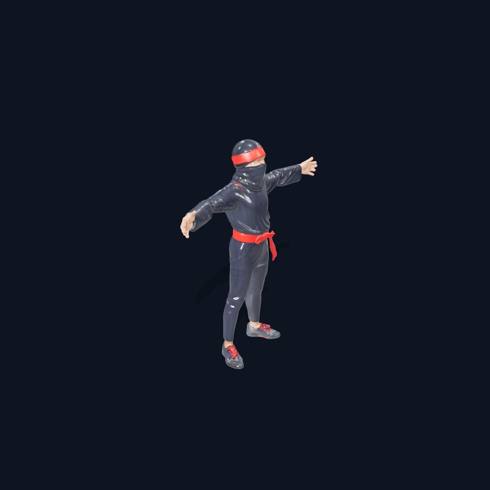Stylized Ninja Model Pack with Red Accents viewer poster
