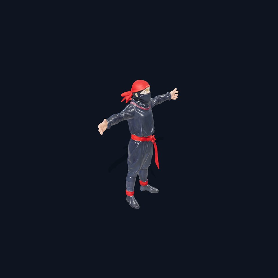 Ninja Character Model Pack with Adjustable Detail Levels viewer poster