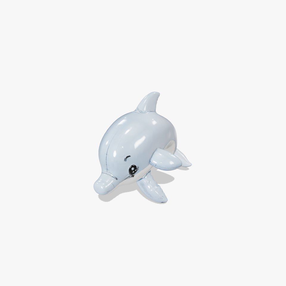 Inflatable Dolphin Toy Model Pack for Rendering