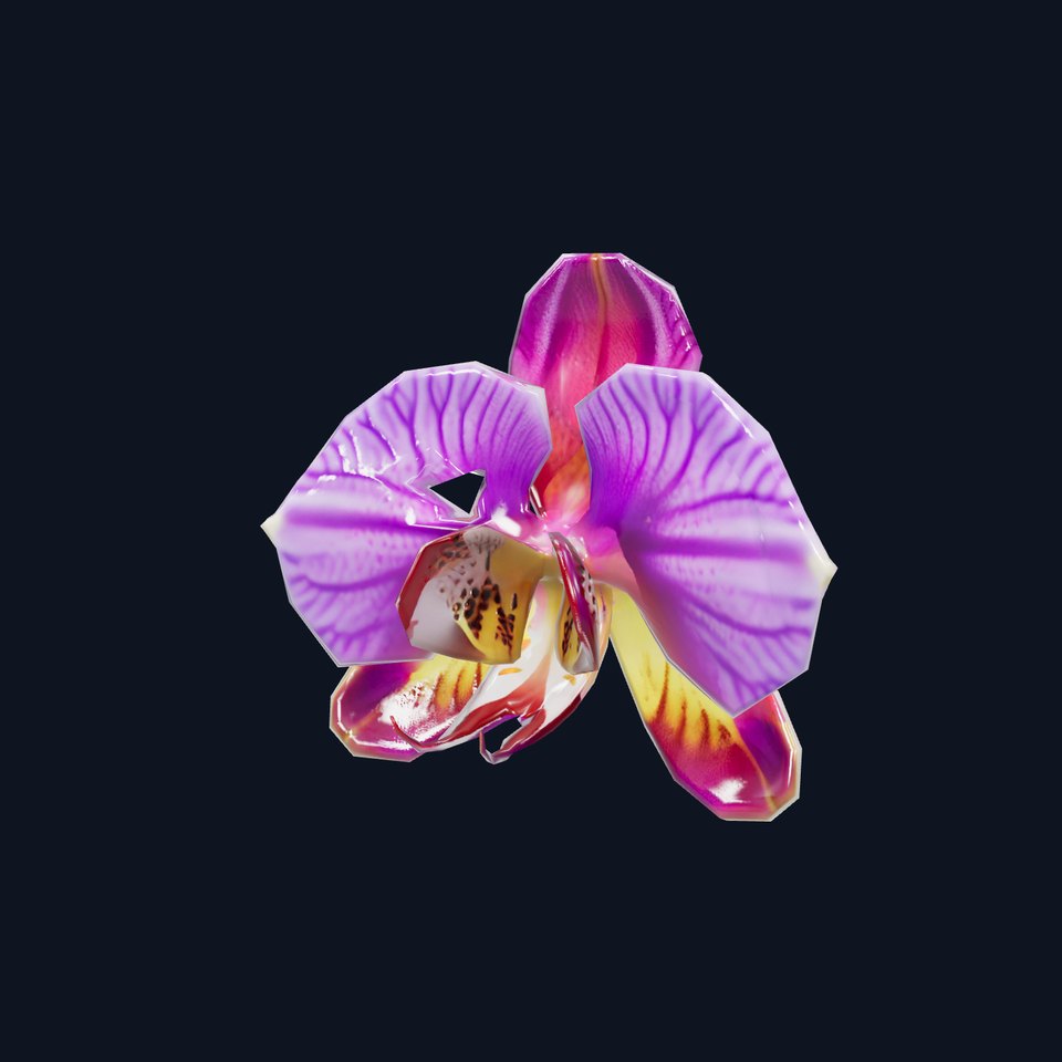 Pink Orchid Flower model pack