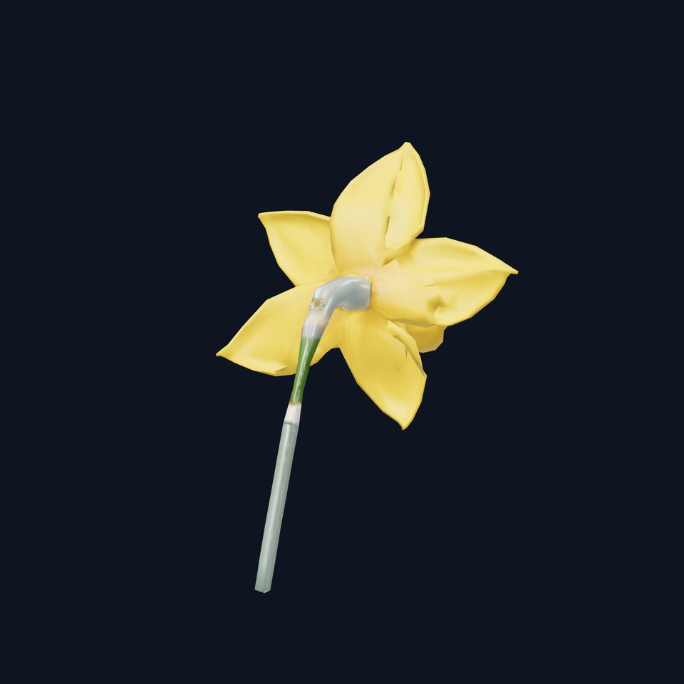 Vibrant Daffodil model pack