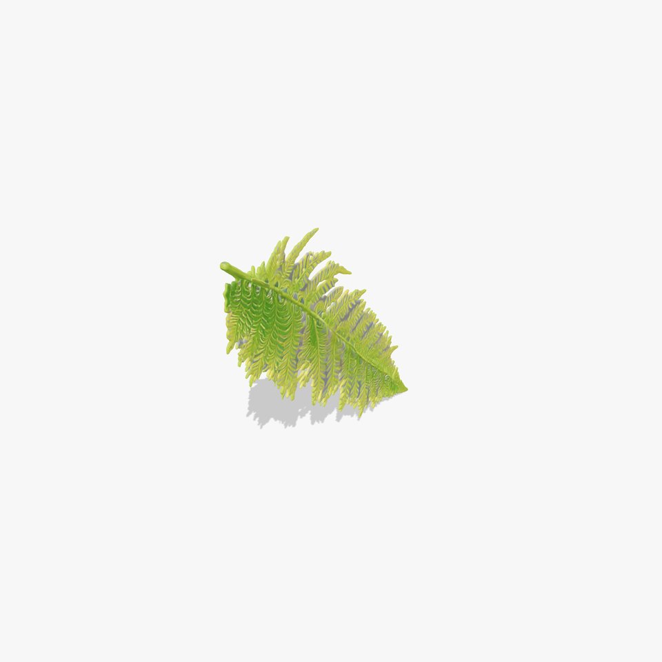 Vibrant Fern Leaf model pack