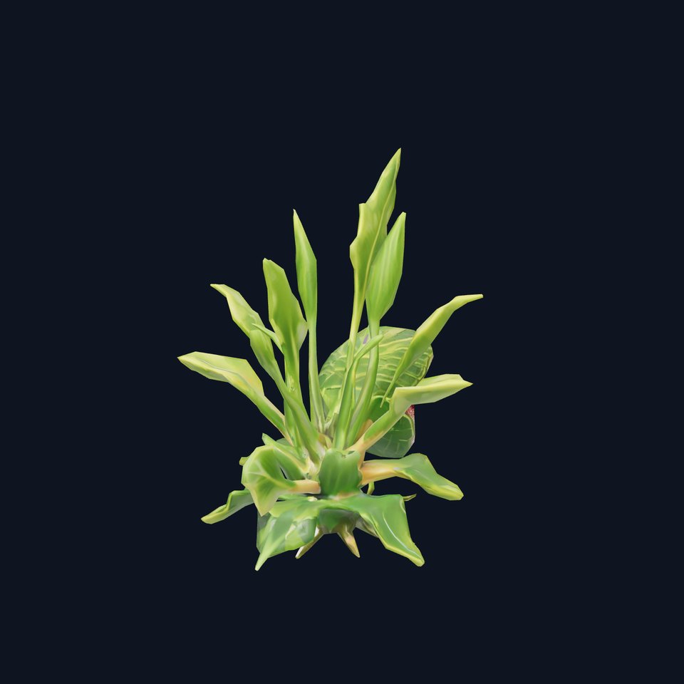 Carnivorous Plant model pack