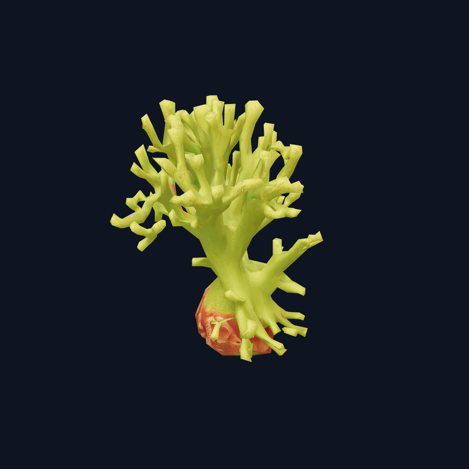 Vibrant Green Coral model pack