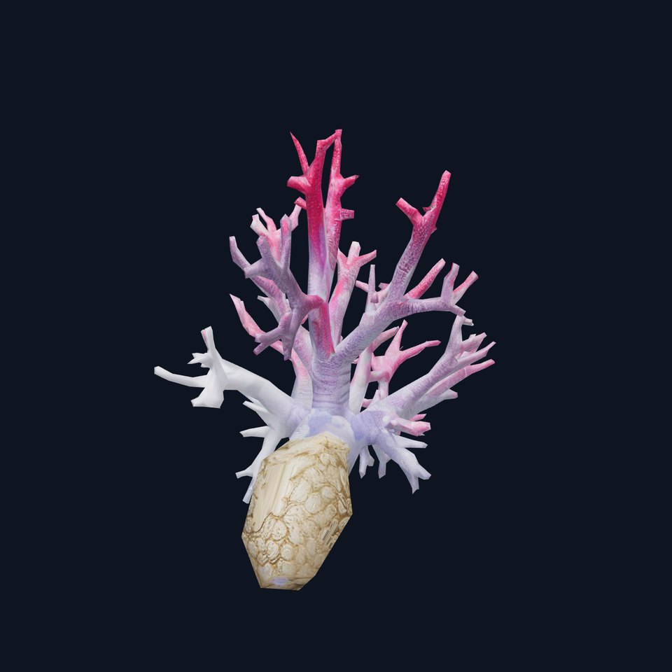 Pink Coral Growth model pack