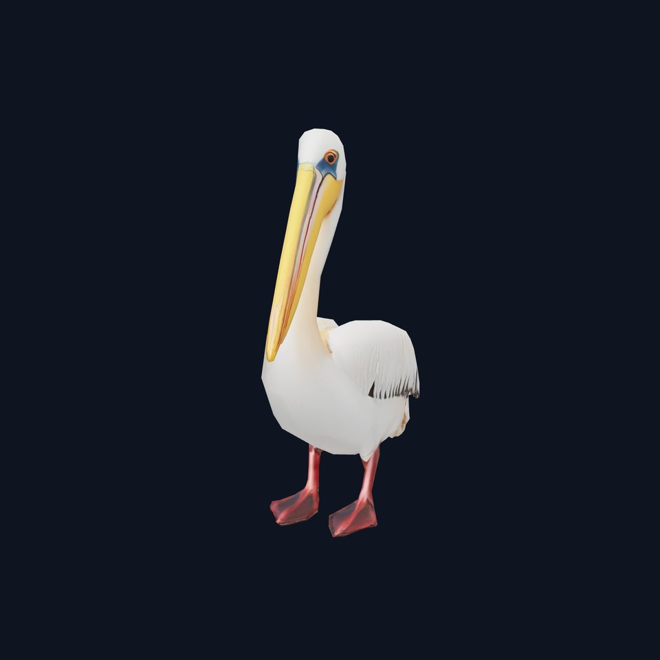 Elegant White Pelican model pack