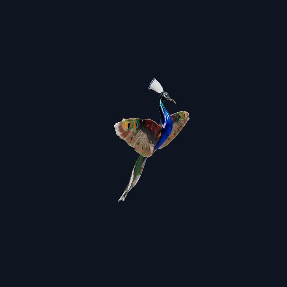 Vibrant Peacock model pack