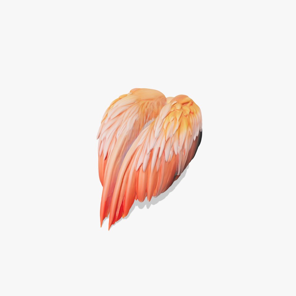 Feathered Wing model pack