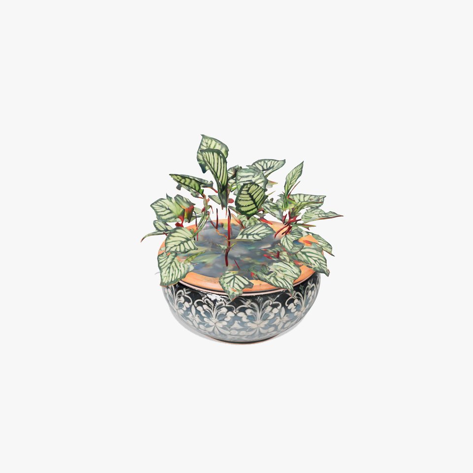 Elegant Ceramic Planter model pack