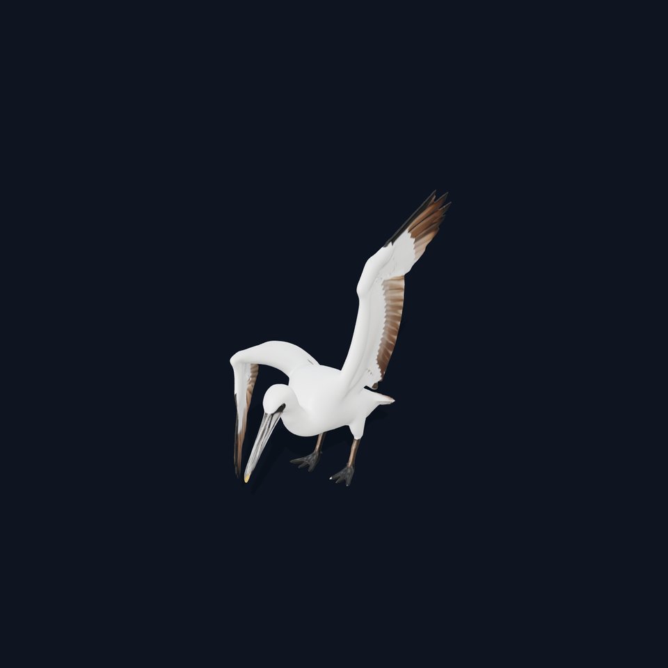 Gannet Bird model pack viewer poster