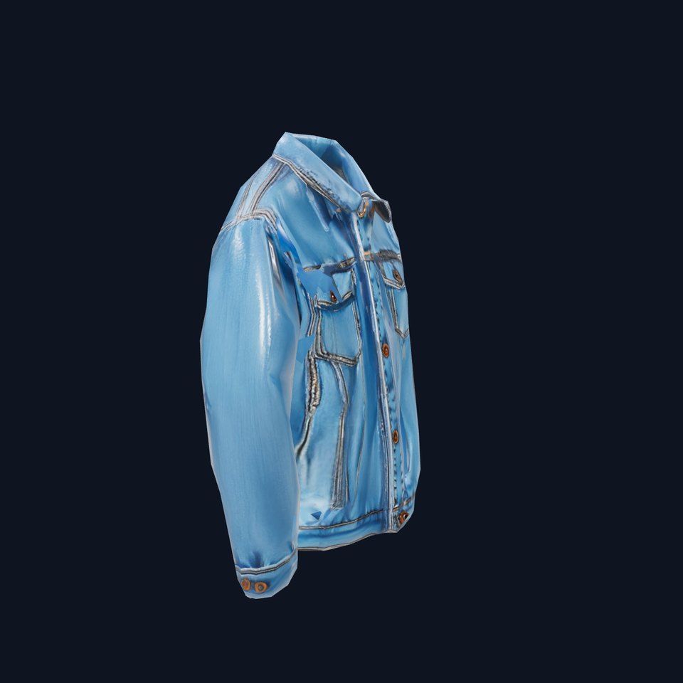 Classic Denim Jacket model pack