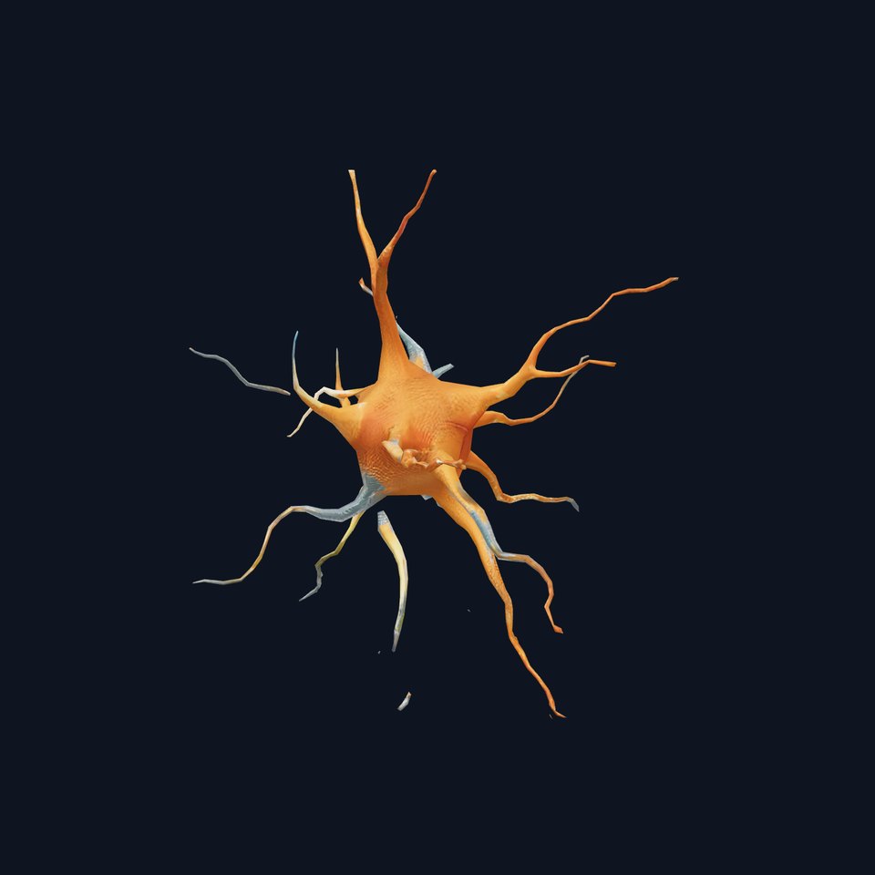 Realistic Neuron model pack