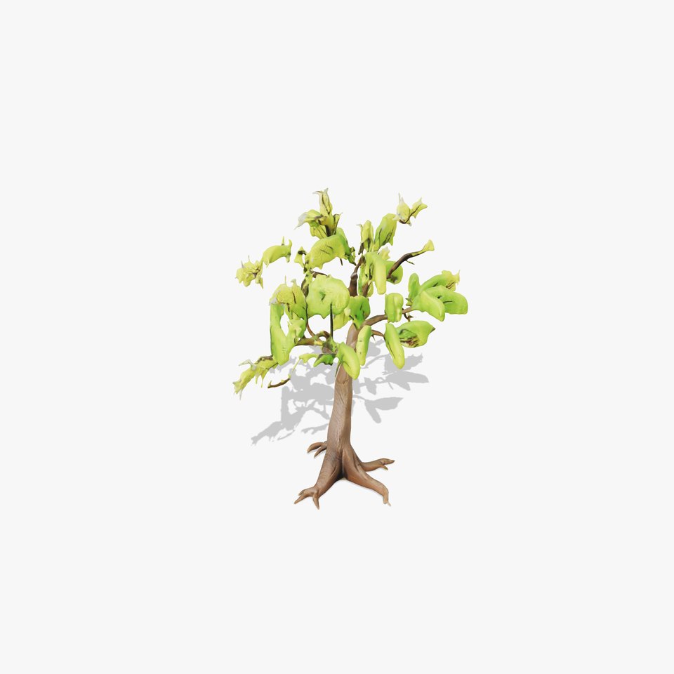 Verdant Elm Tree model pack viewer poster