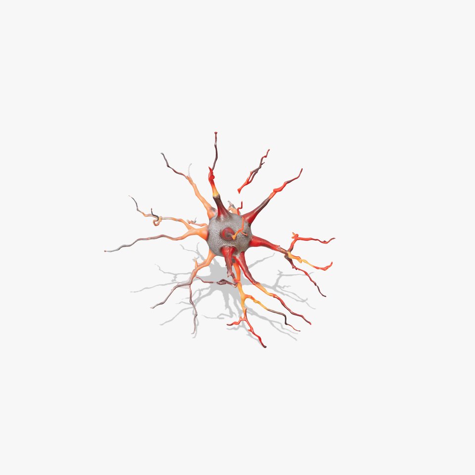Dynamic Neuron Cell model pack