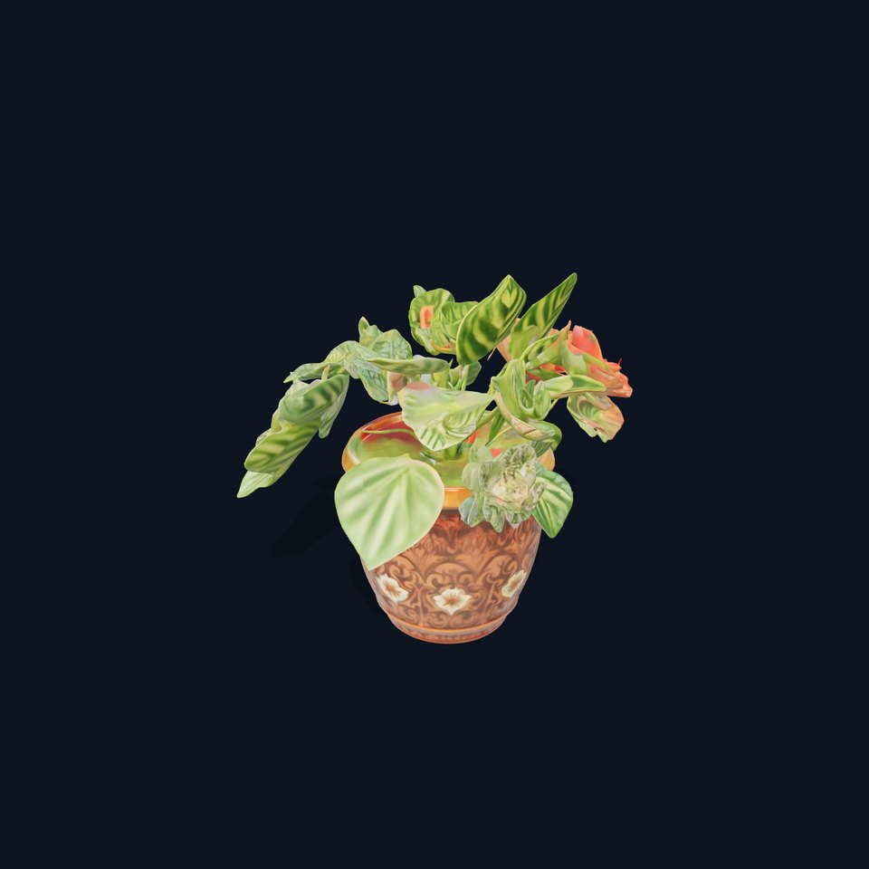 Decorative Potted Plant model pack