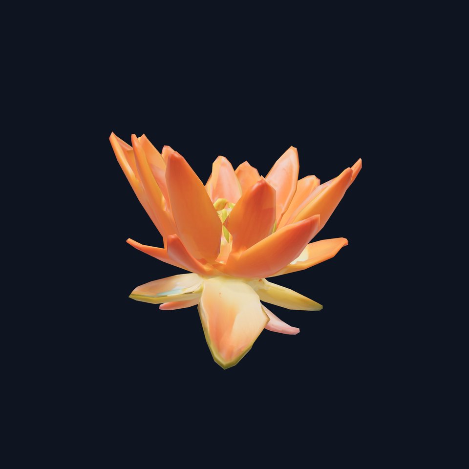 Vibrant Lotus Blossom model pack