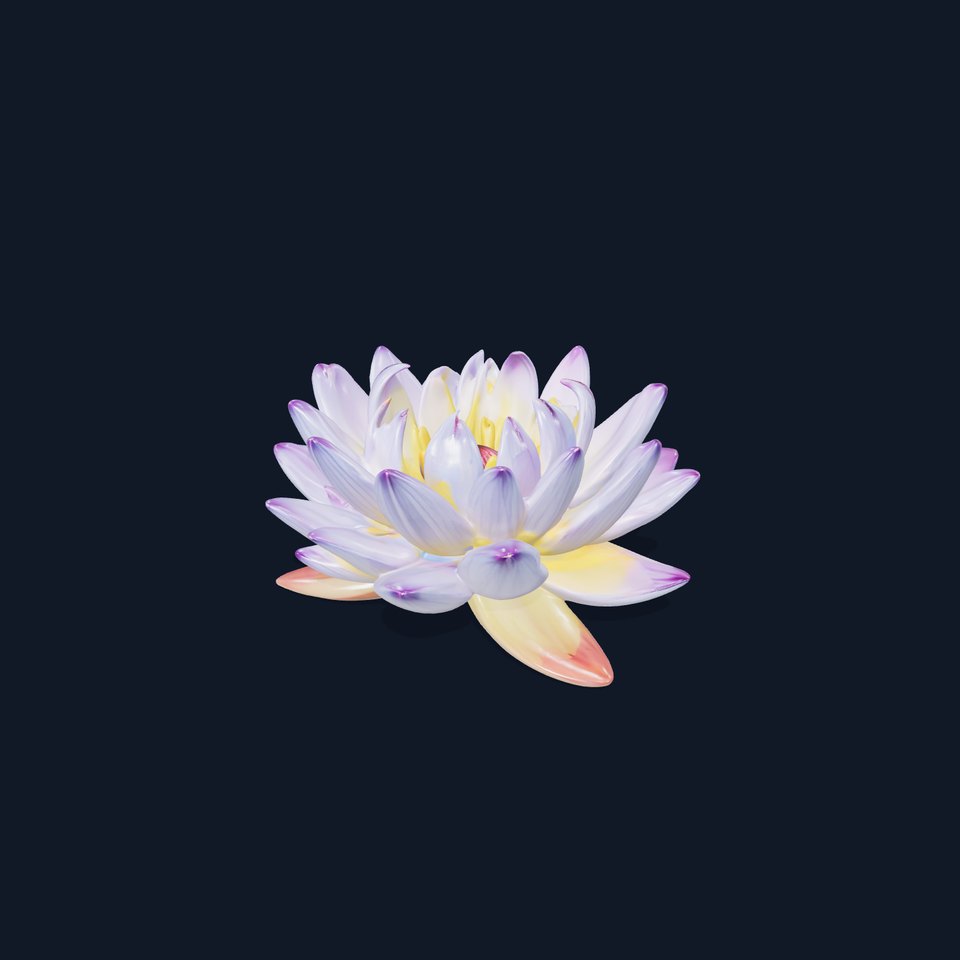 Elegant Lotus Blossom model pack