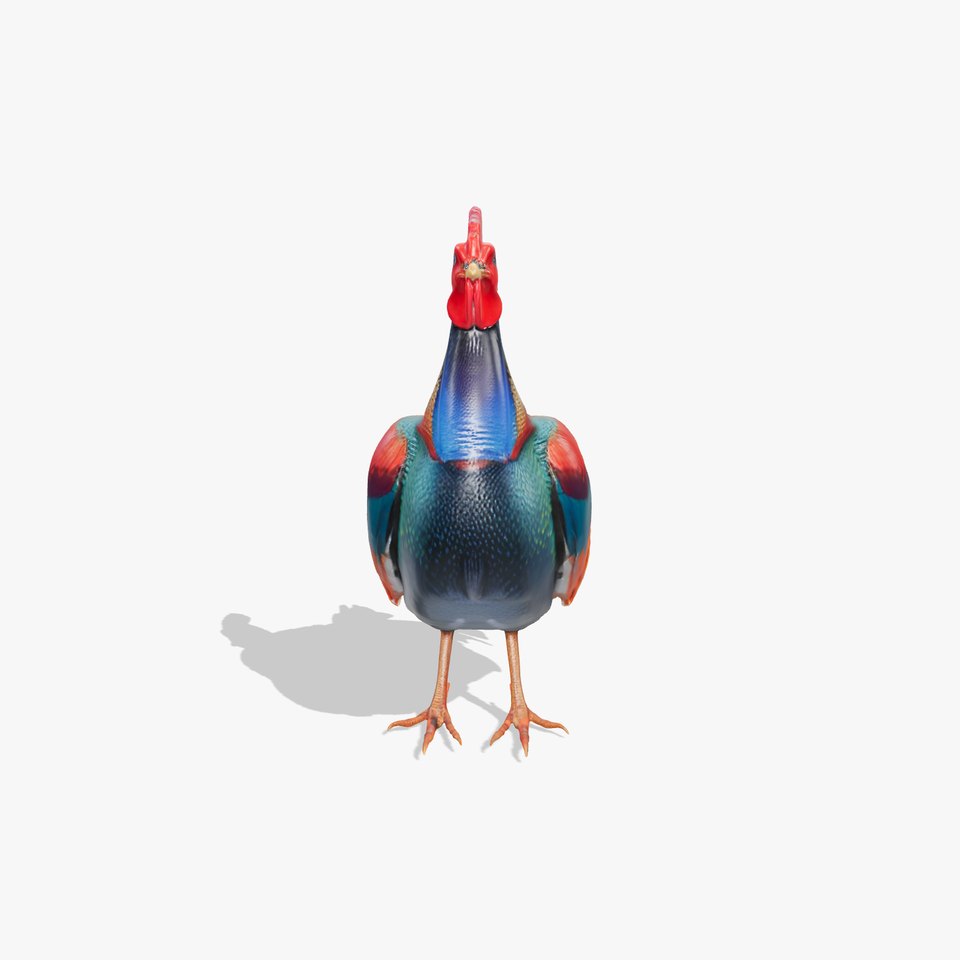 Vibrant Rooster model pack