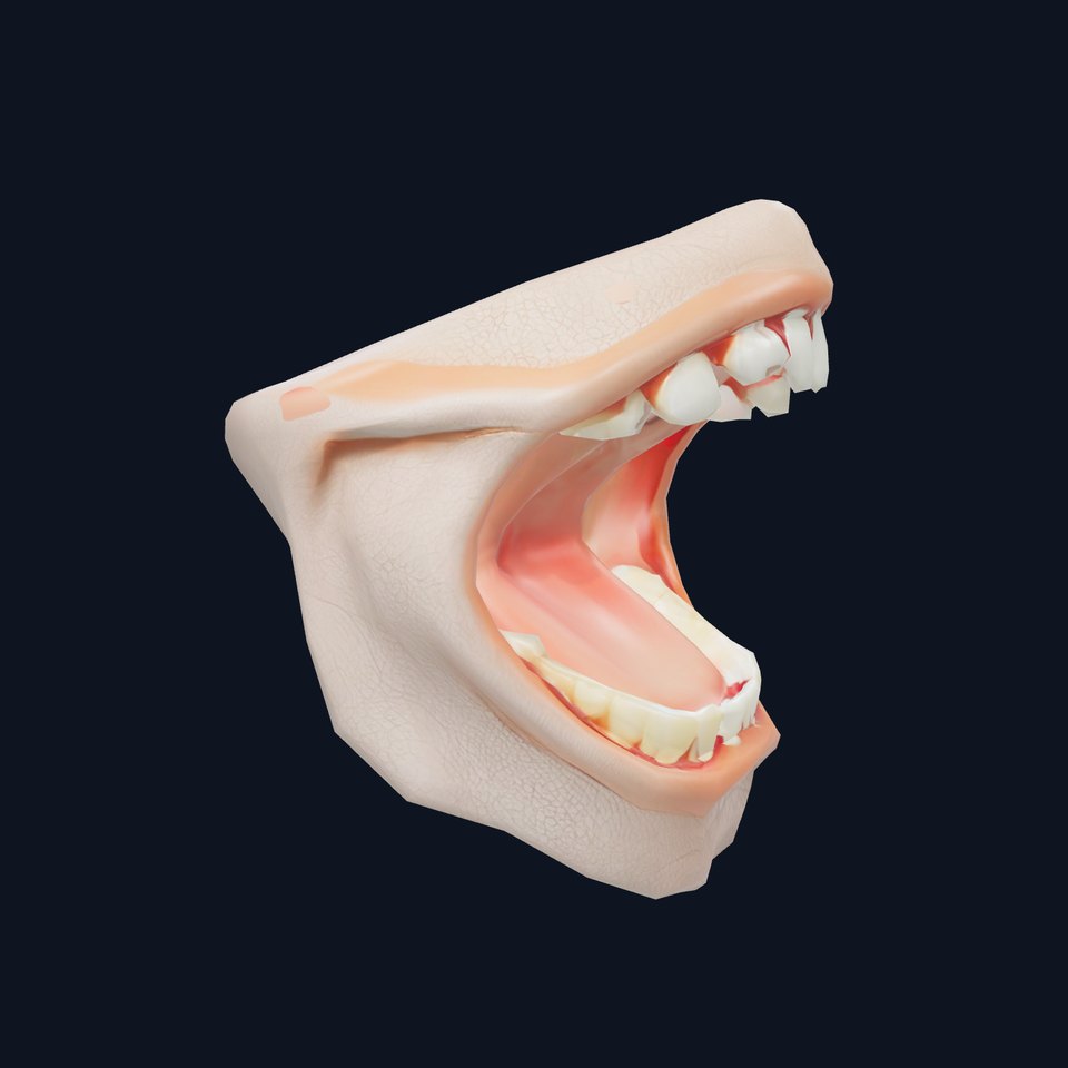 Realistic Human Mouth model pack