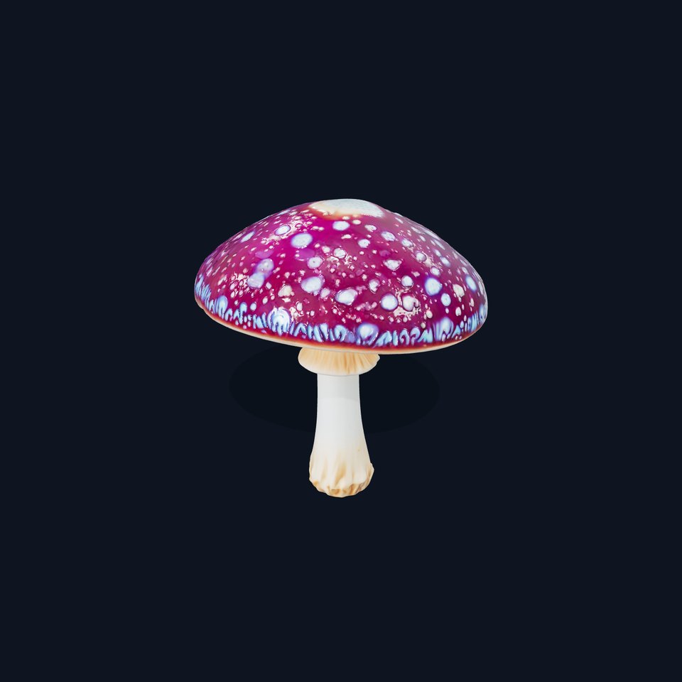 Vibrant Psychedelic Mushroom model pack