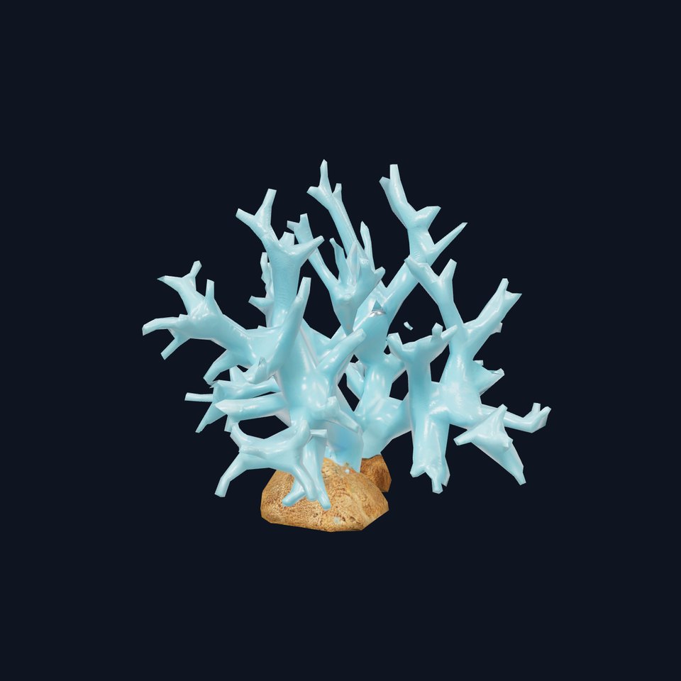 Turquoise Coral model pack
