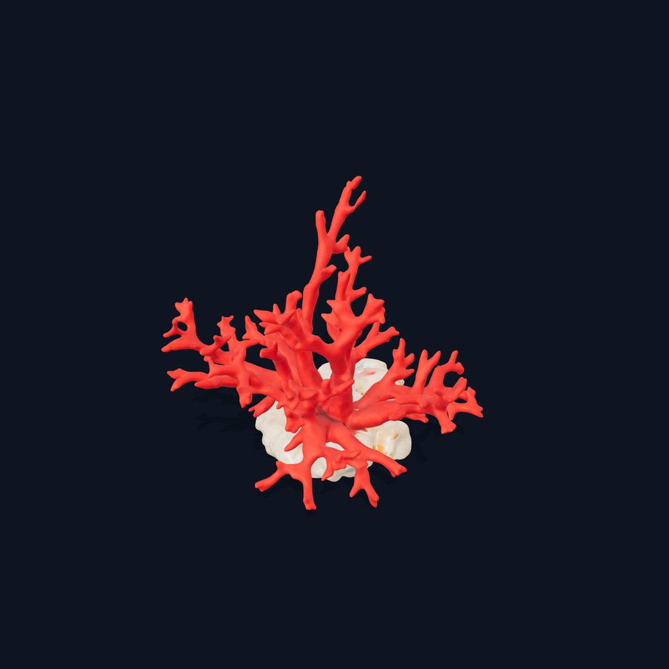 Vibrant Coral Reef model pack