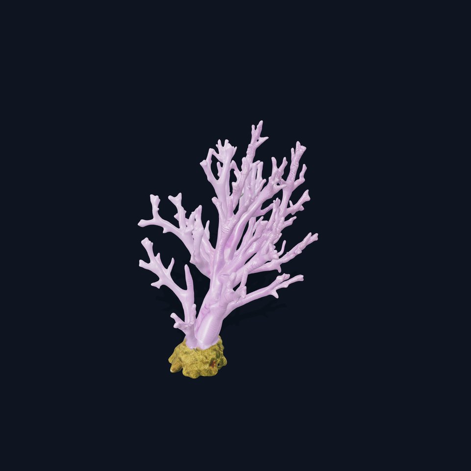 Vibrant Purple Coral model pack