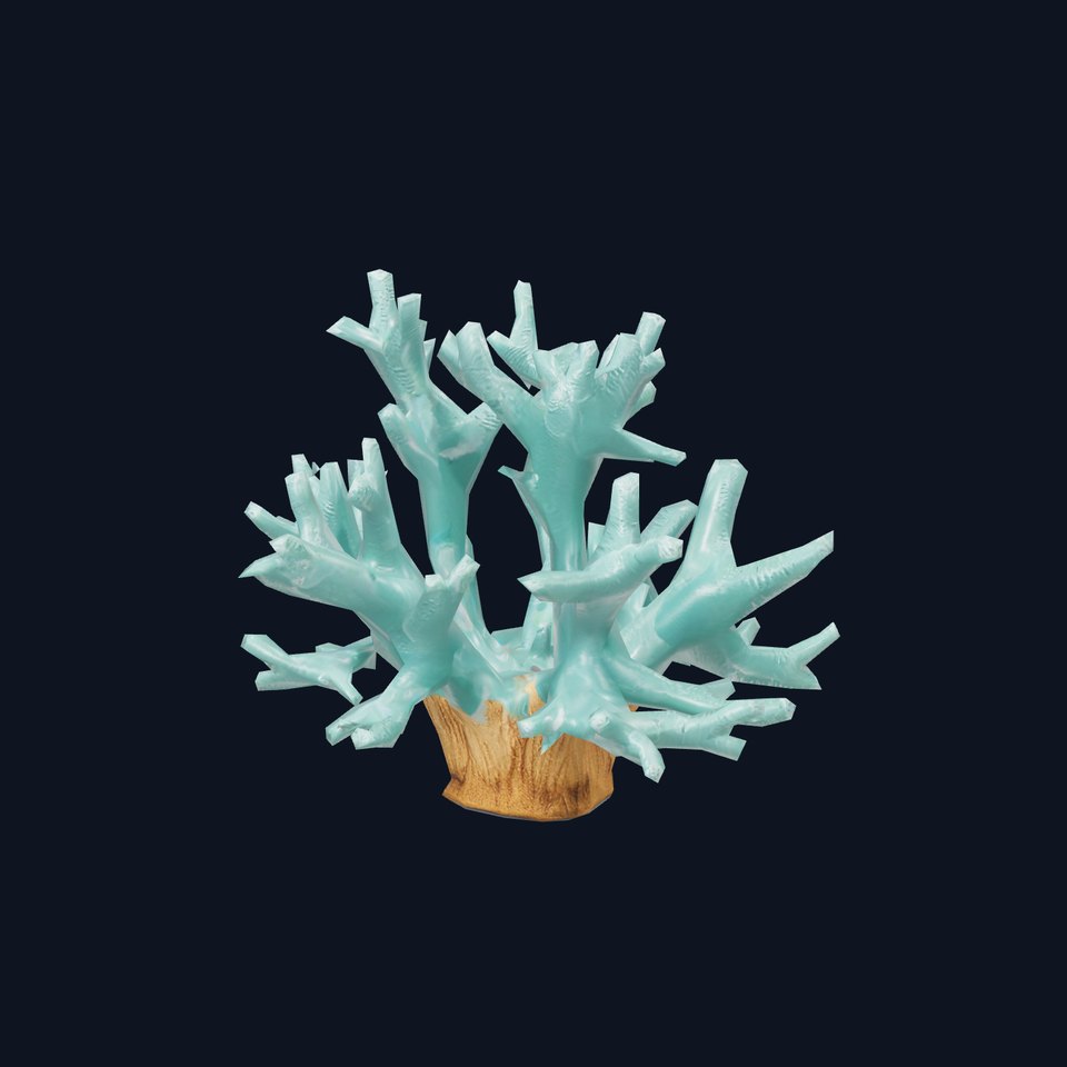 Turquoise Coral model pack